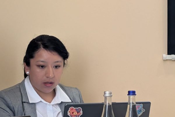 Software Interface presentitation 2